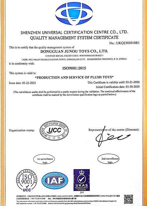 ISO9001